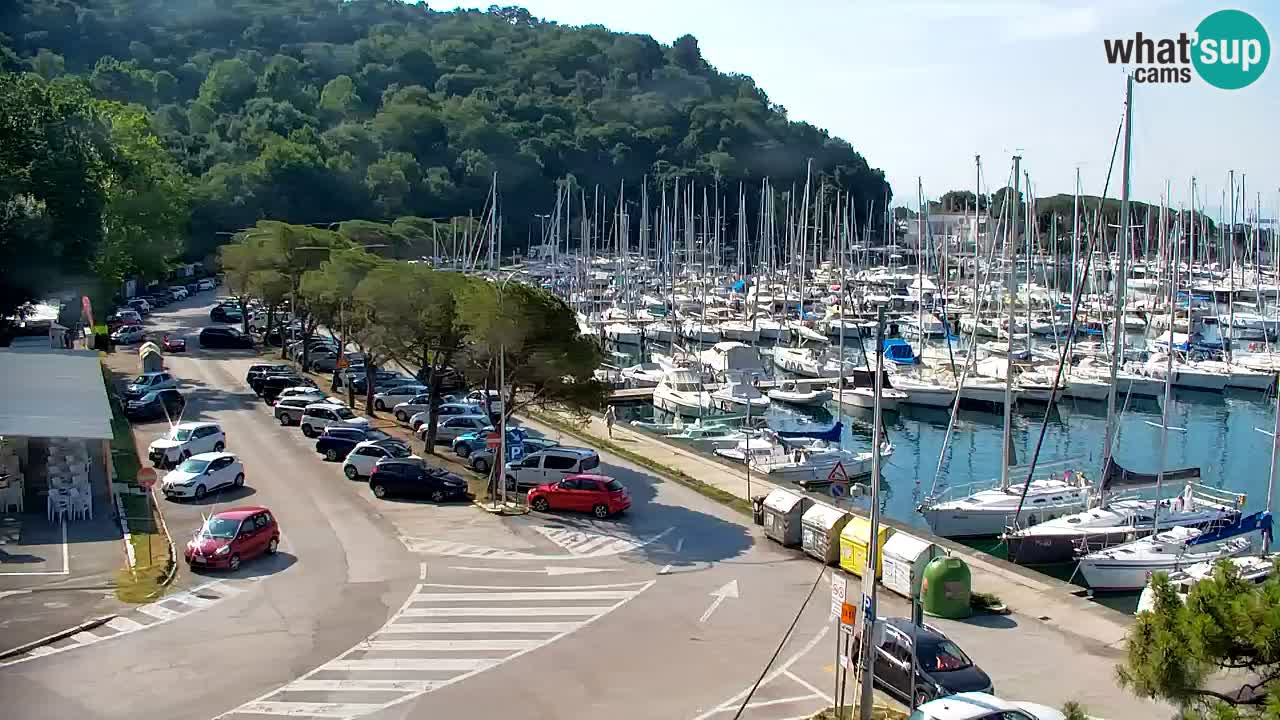 Webcam Bahía de Sistiana – Vista en directo del puerto deportivo y la costa
