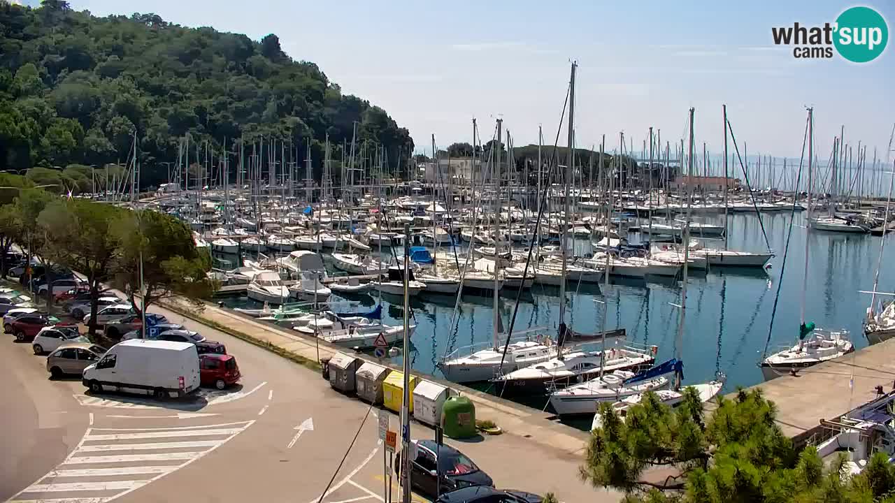 Webcam Sistiana Baia – Live View of the Marina and Gulf