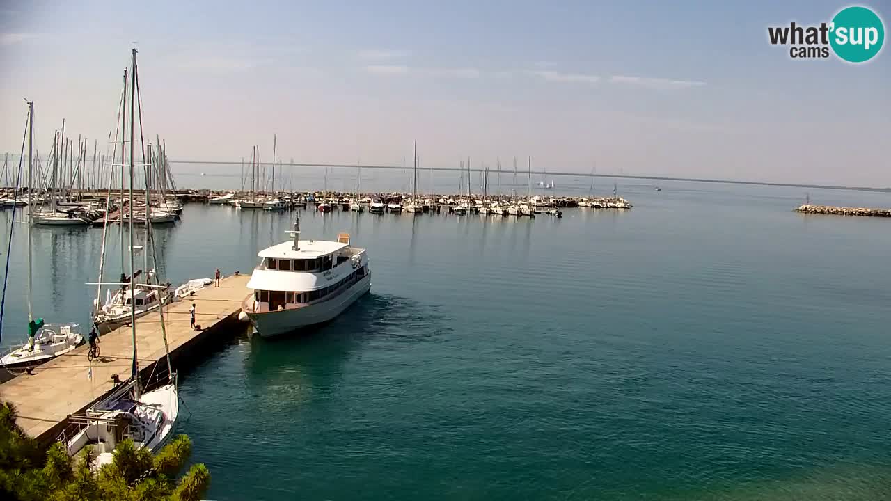 Webcam Bahía de Sistiana – Vista en directo del puerto deportivo y la costa
