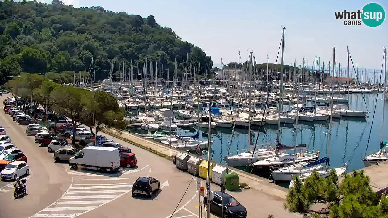 Webcam Sistiana Baia – Live View of the Marina and Gulf