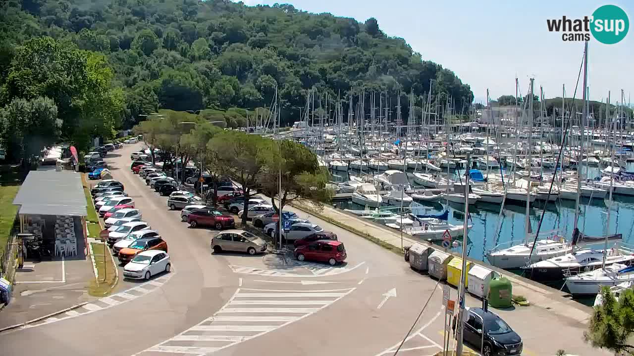 Webcam Bahía de Sistiana – Vista en directo del puerto deportivo y la costa