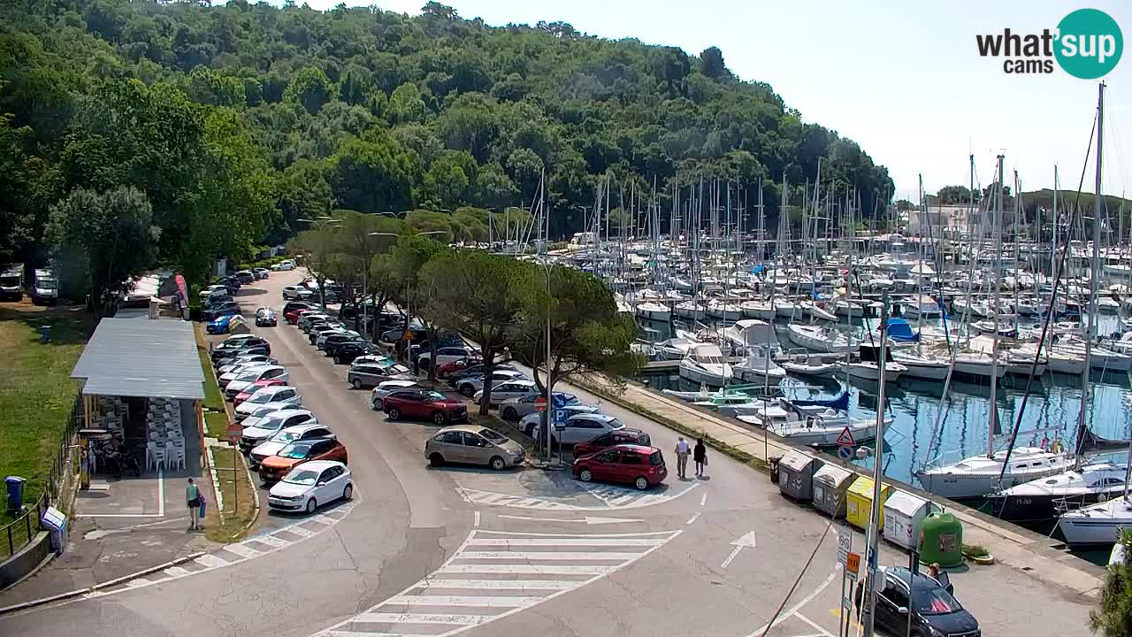Web kamera Sistiana Uvala – Pogled uživo na marinu i zaljev