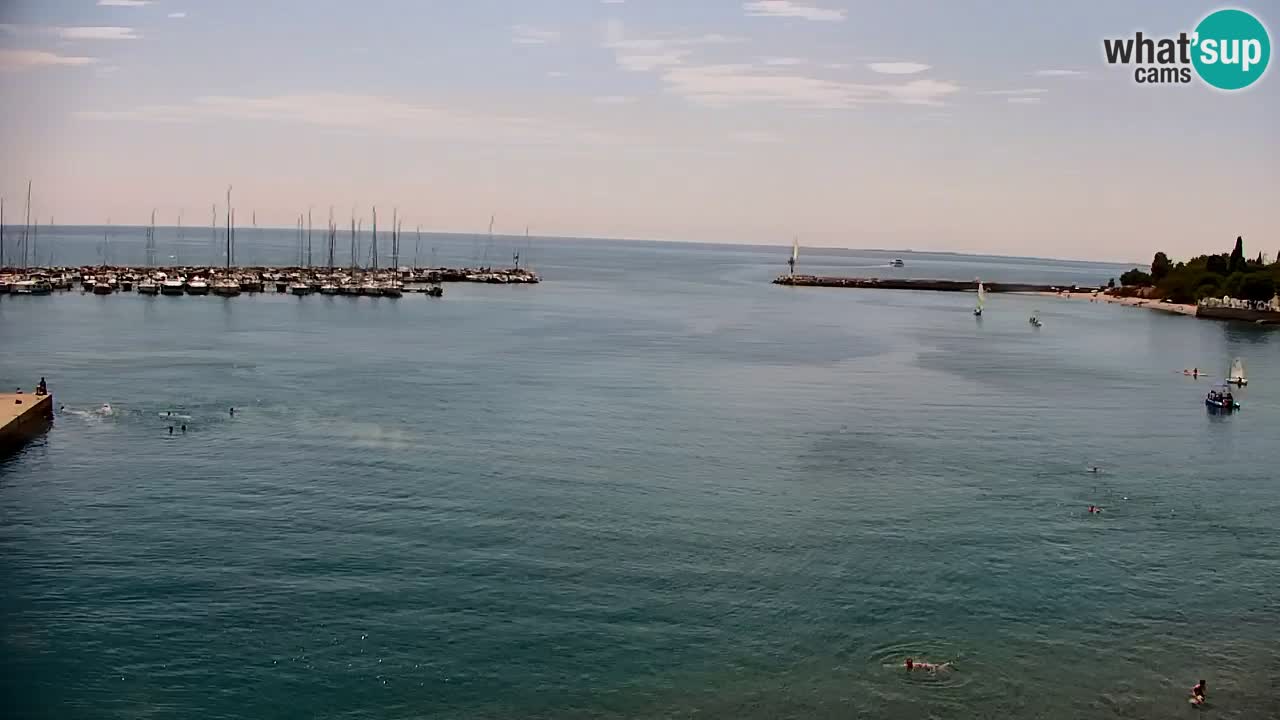 Webcam Sistiana Bucht – Liveblick auf Marina und Bucht