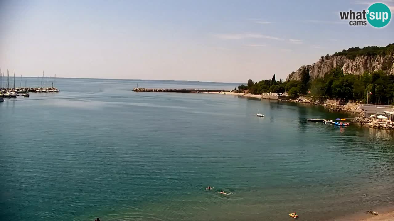 Webcam Bahía de Sistiana – Vista en directo del puerto deportivo y la costa