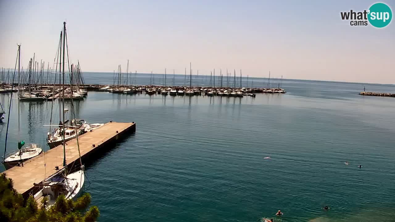 Webcam Sistiana Bucht – Liveblick auf Marina und Bucht