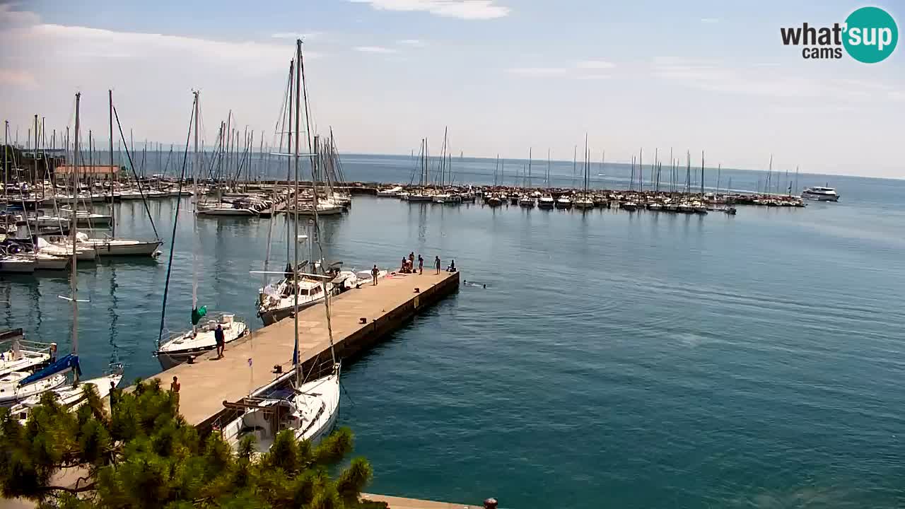 Web kamera Sistiana Uvala – Pogled uživo na marinu i zaljev