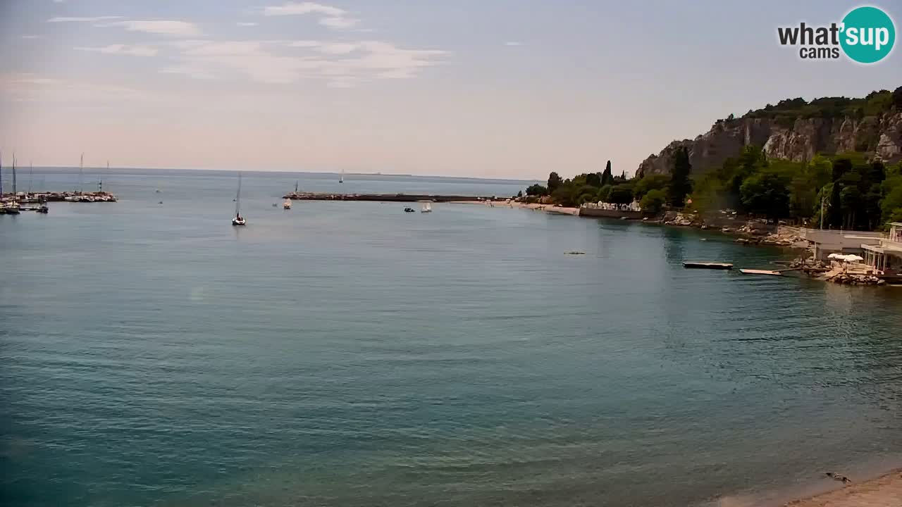 Webcam Bahía de Sistiana – Vista en directo del puerto deportivo y la costa