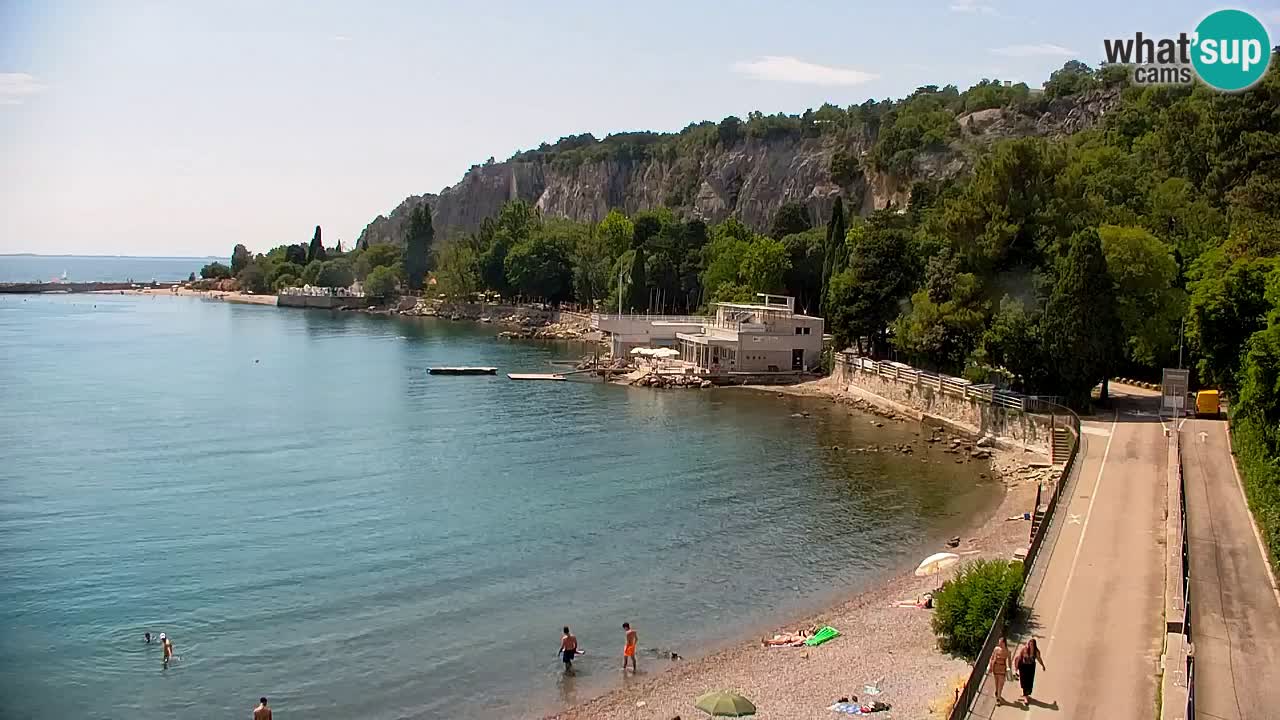 Spletna kamera Sesljanski zaliv – Pogled v živo na marino in zaliv
