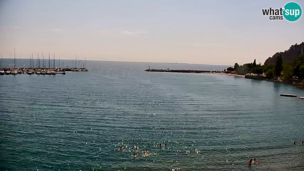 Webcam Bahía de Sistiana – Vista en directo del puerto deportivo y la costa