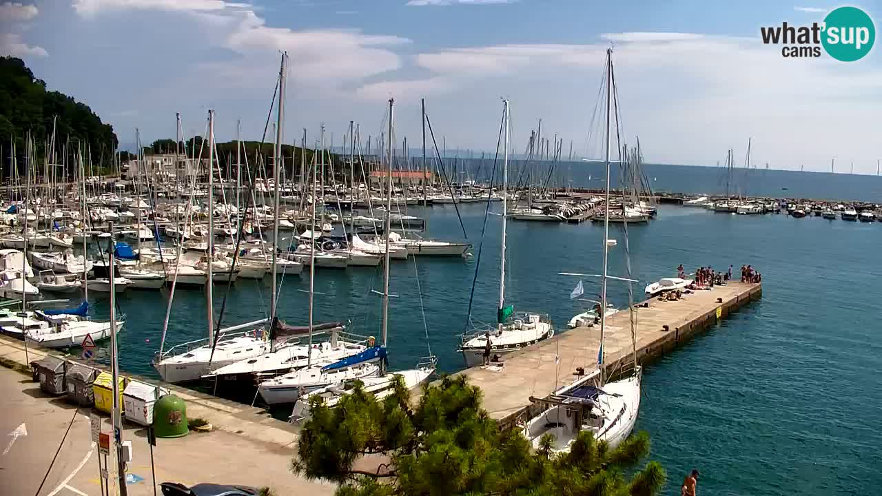 Webcam Bahía de Sistiana – Vista en directo del puerto deportivo y la costa