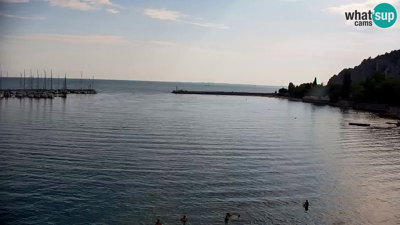 Webcam Bahía de Sistiana – Vista en directo del puerto deportivo y la costa