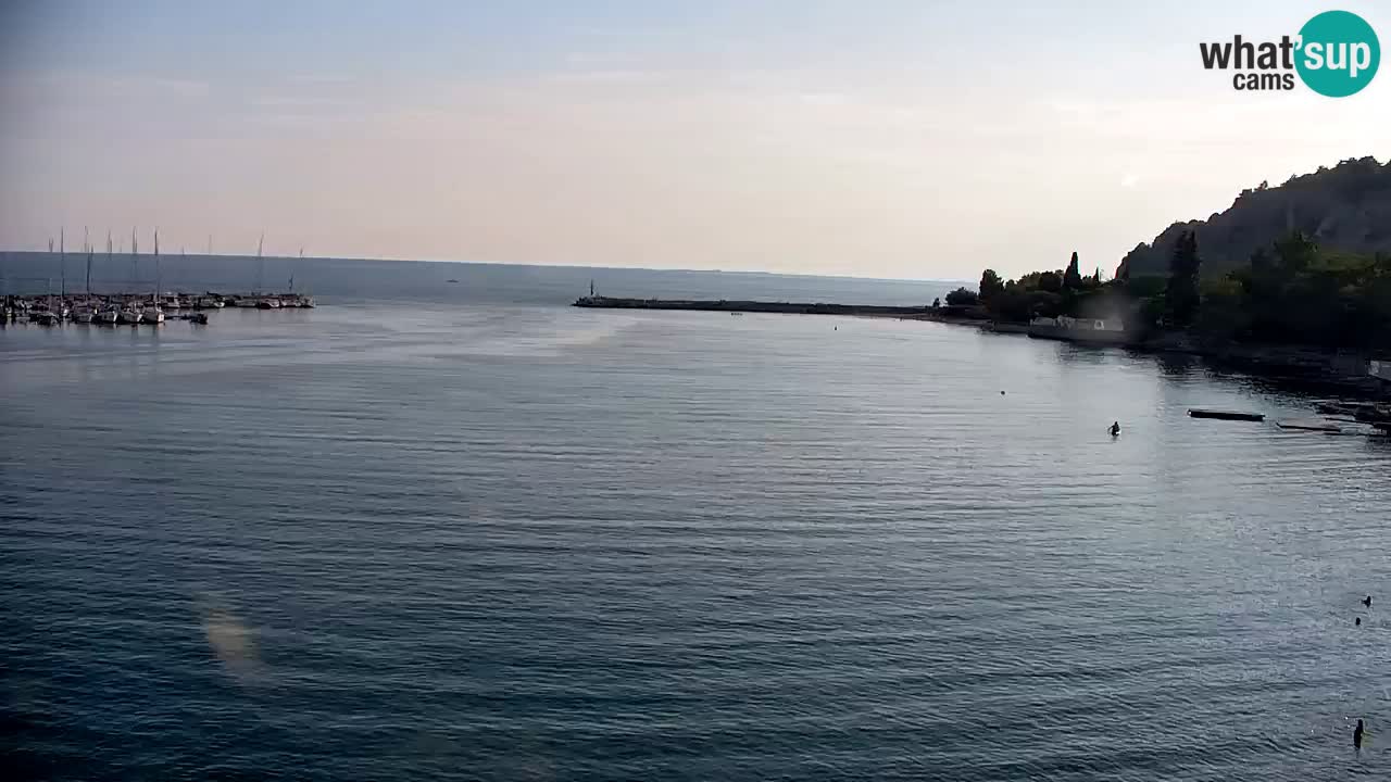Webcam Sistiana Baia – Live View of the Marina and Gulf