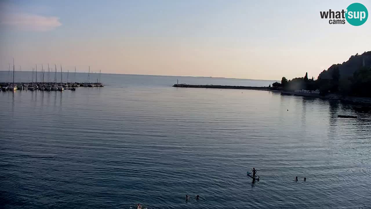 Webcam Baie de Sistiana – Vue en direct de la marina et de la baie