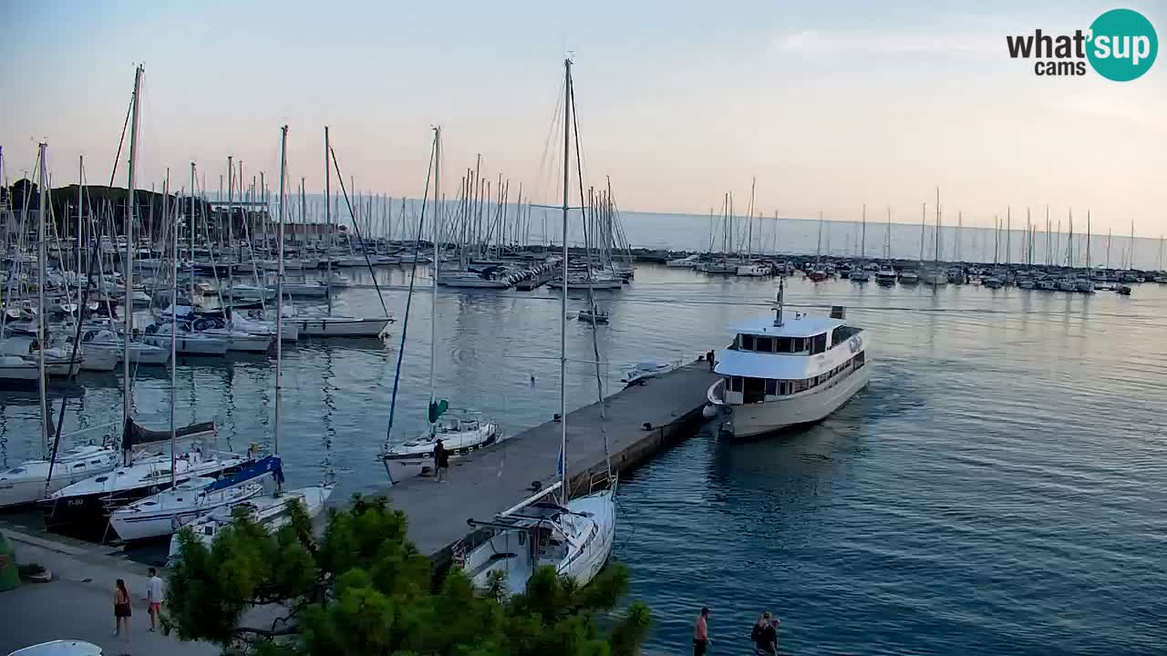 Webcam Sistiana Baia – Live View of the Marina and Gulf