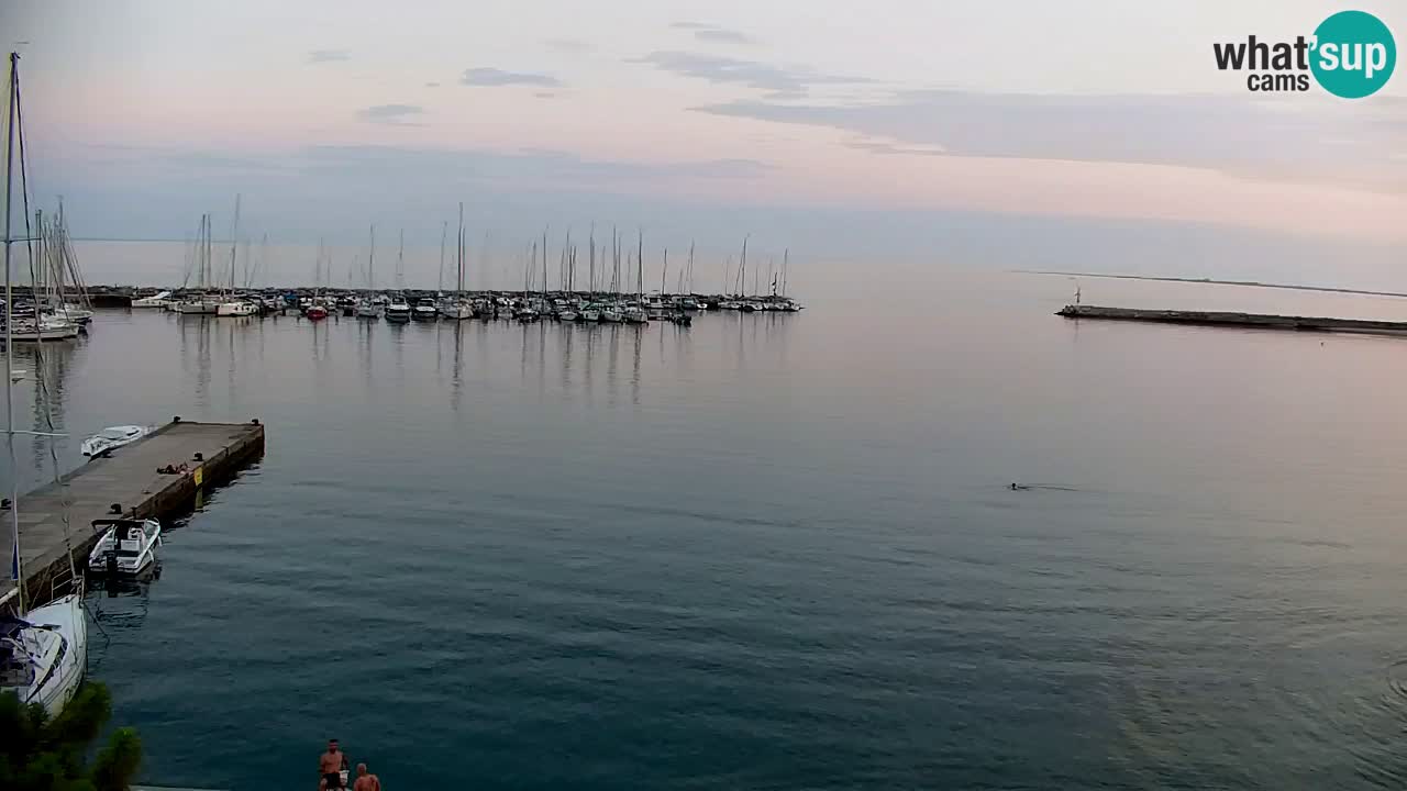 Webcam Baie de Sistiana – Vue en direct de la marina et de la baie