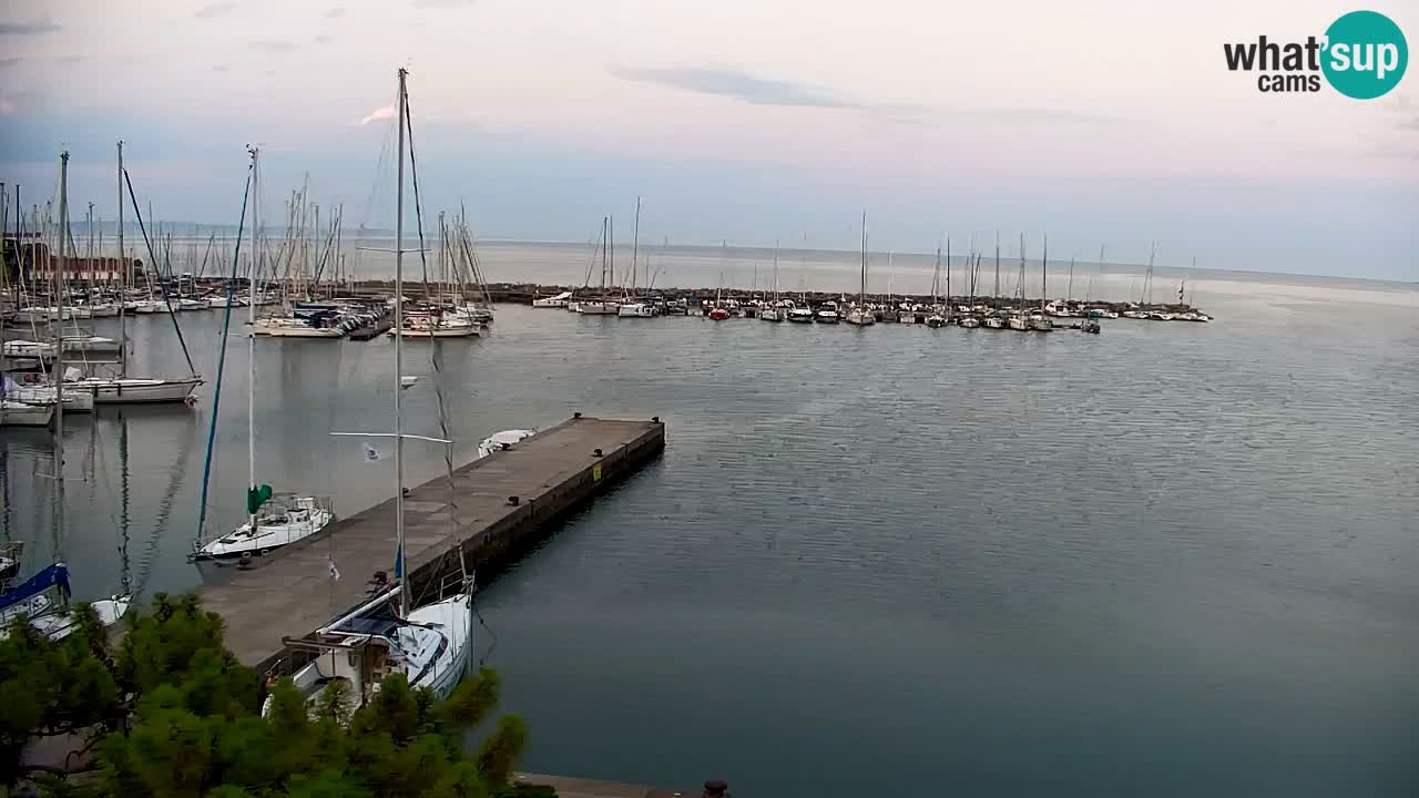 Web kamera Sistiana Uvala – Pogled uživo na marinu i zaljev