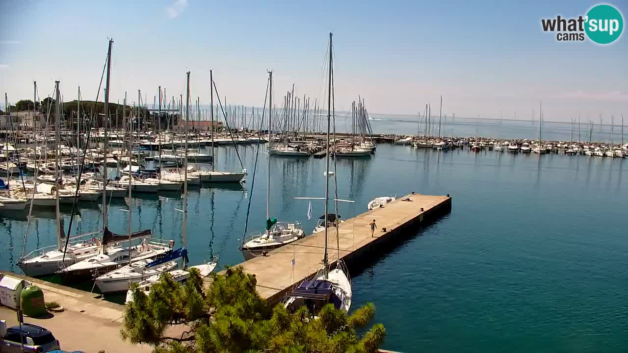 Web kamera Sistiana Uvala – Pogled uživo na marinu i zaljev