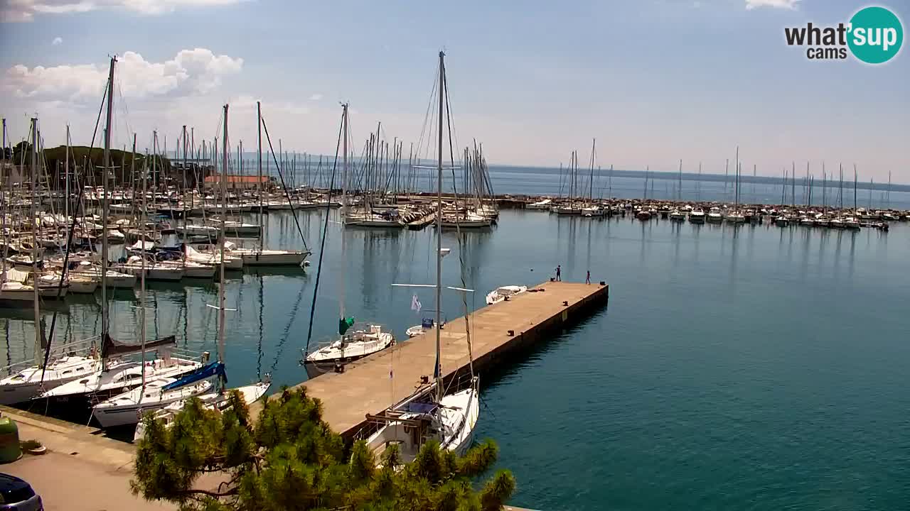 Web kamera Sistiana Uvala – Pogled uživo na marinu i zaljev