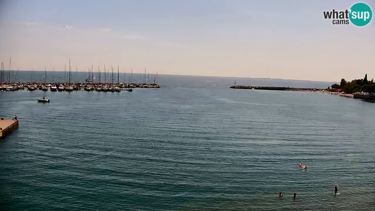 Web kamera Sistiana Uvala – Pogled uživo na marinu i zaljev