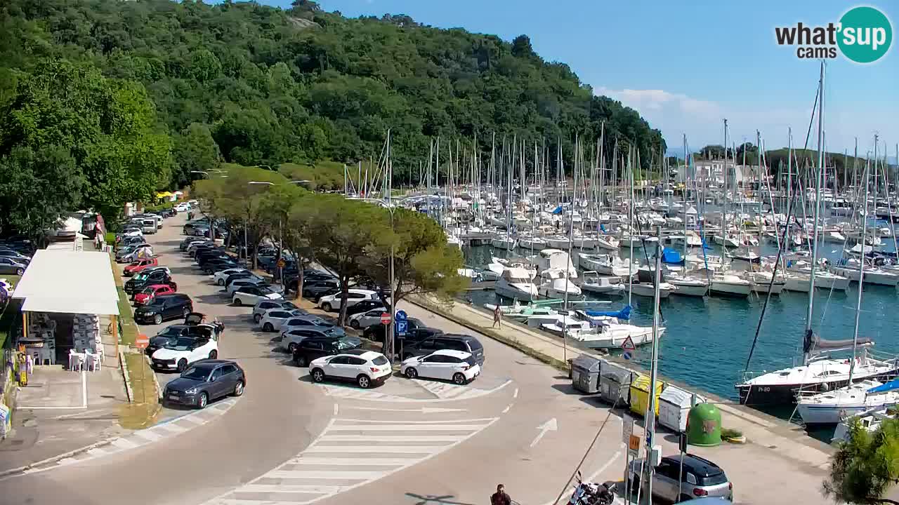 Web kamera Sistiana Uvala – Pogled uživo na marinu i zaljev