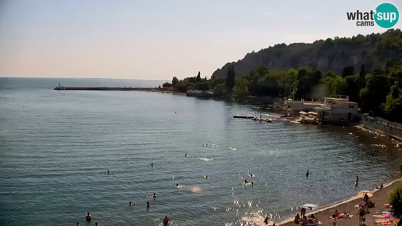 Spletna kamera Sesljanski zaliv – Pogled v živo na marino in zaliv
