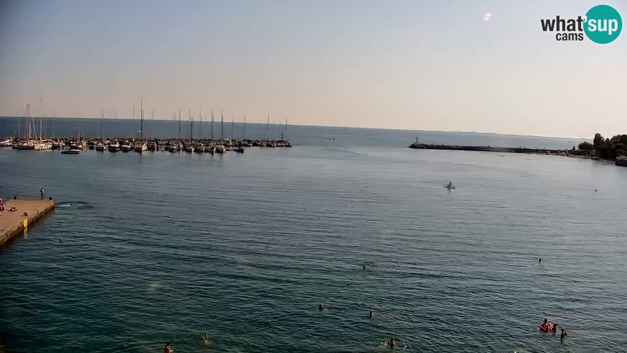Webcam Sistiana Bucht – Liveblick auf Marina und Bucht