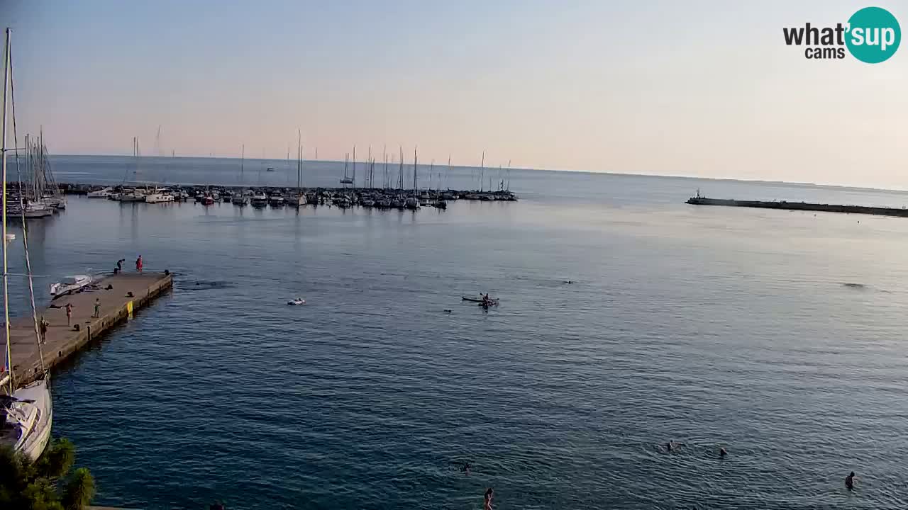 Webcam Bahía de Sistiana – Vista en directo del puerto deportivo y la costa