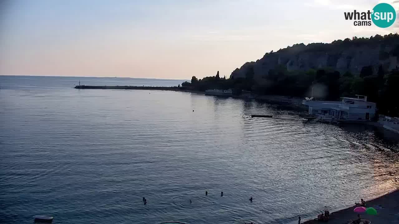 Spletna kamera Sesljanski zaliv – Pogled v živo na marino in zaliv