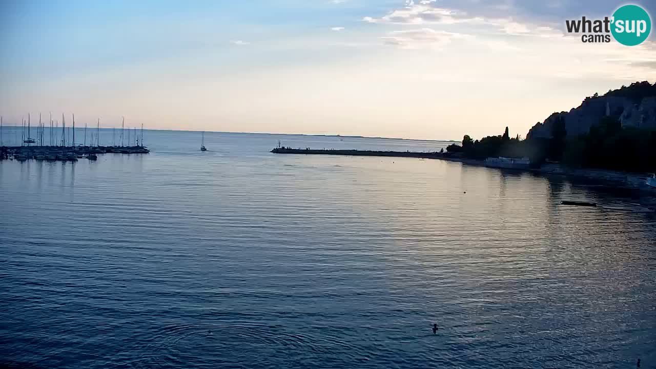 Webcam Sistiana Baia – Live View of the Marina and Gulf