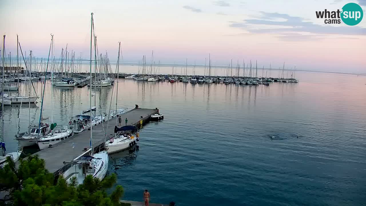 Webcam Sistiana Baia – Live View of the Marina and Gulf