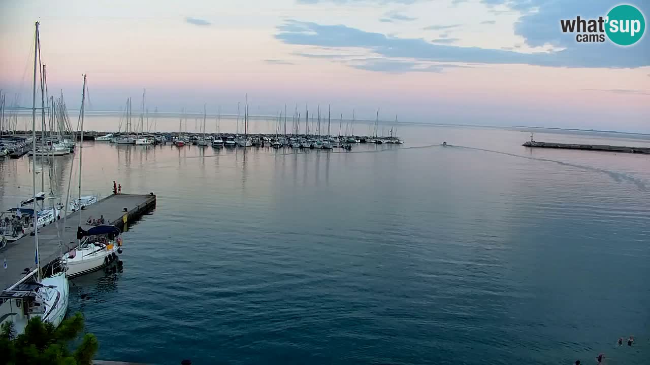 Webcam Sistiana Baia – Live View of the Marina and Gulf