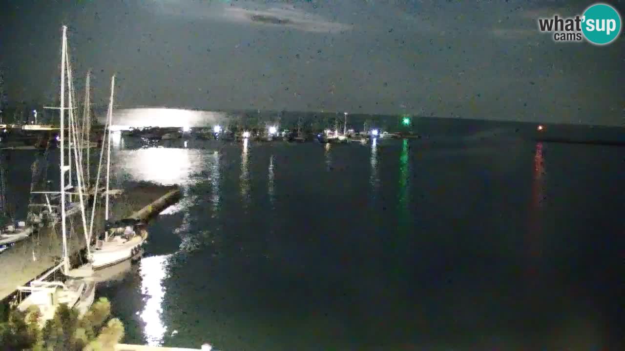Webcam Sistiana Baia – Live View of the Marina and Gulf
