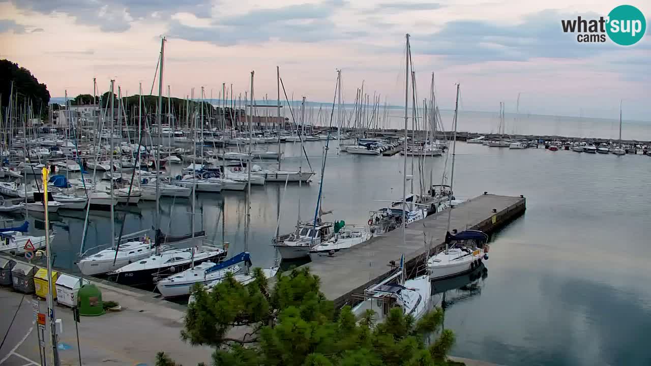 Webcam Bahía de Sistiana – Vista en directo del puerto deportivo y la costa