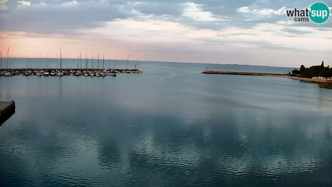 Webcam Bahía de Sistiana – Vista en directo del puerto deportivo y la costa