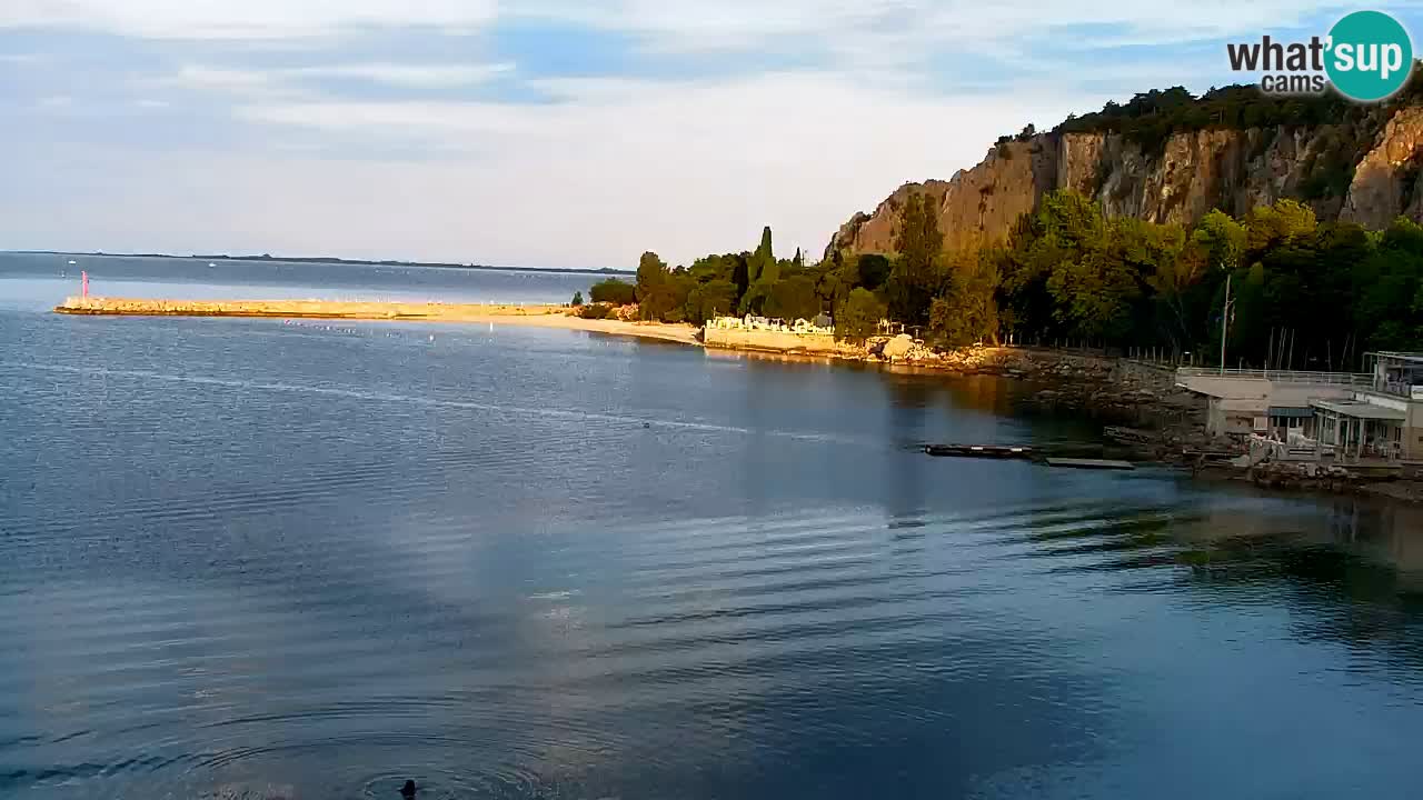 Webcam Baie de Sistiana – Vue en direct de la marina et de la baie
