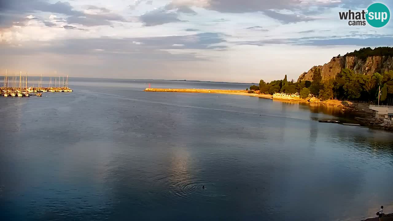 Spletna kamera Sesljanski zaliv – Pogled v živo na marino in zaliv