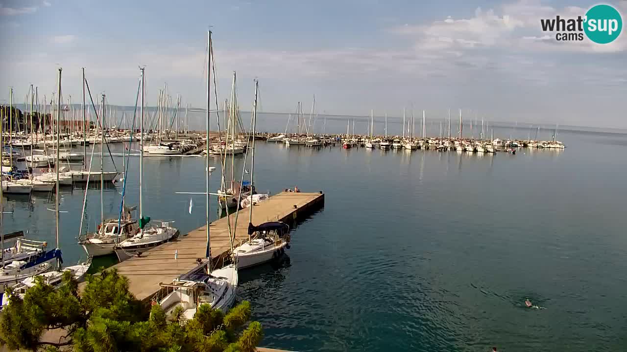Webcam Sistiana Baia – Live View of the Marina and Gulf