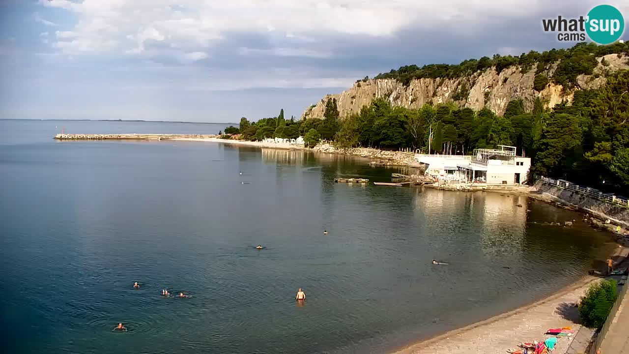Webcam Bahía de Sistiana – Vista en directo del puerto deportivo y la costa