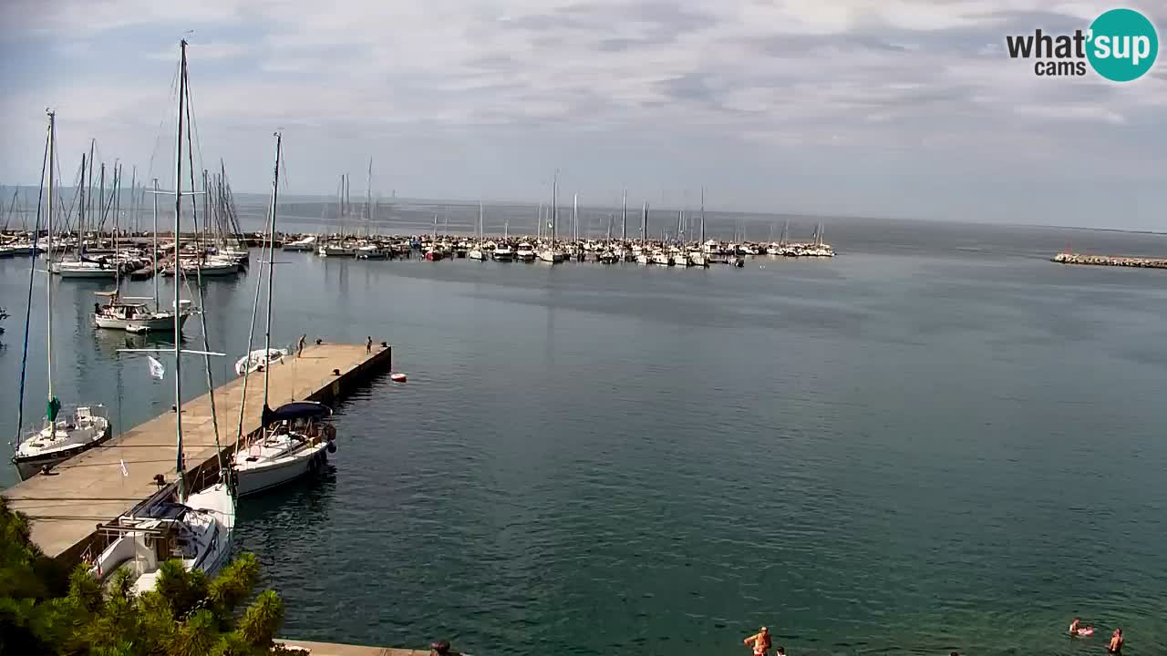 Webcam Sistiana Baia – Live View of the Marina and Gulf