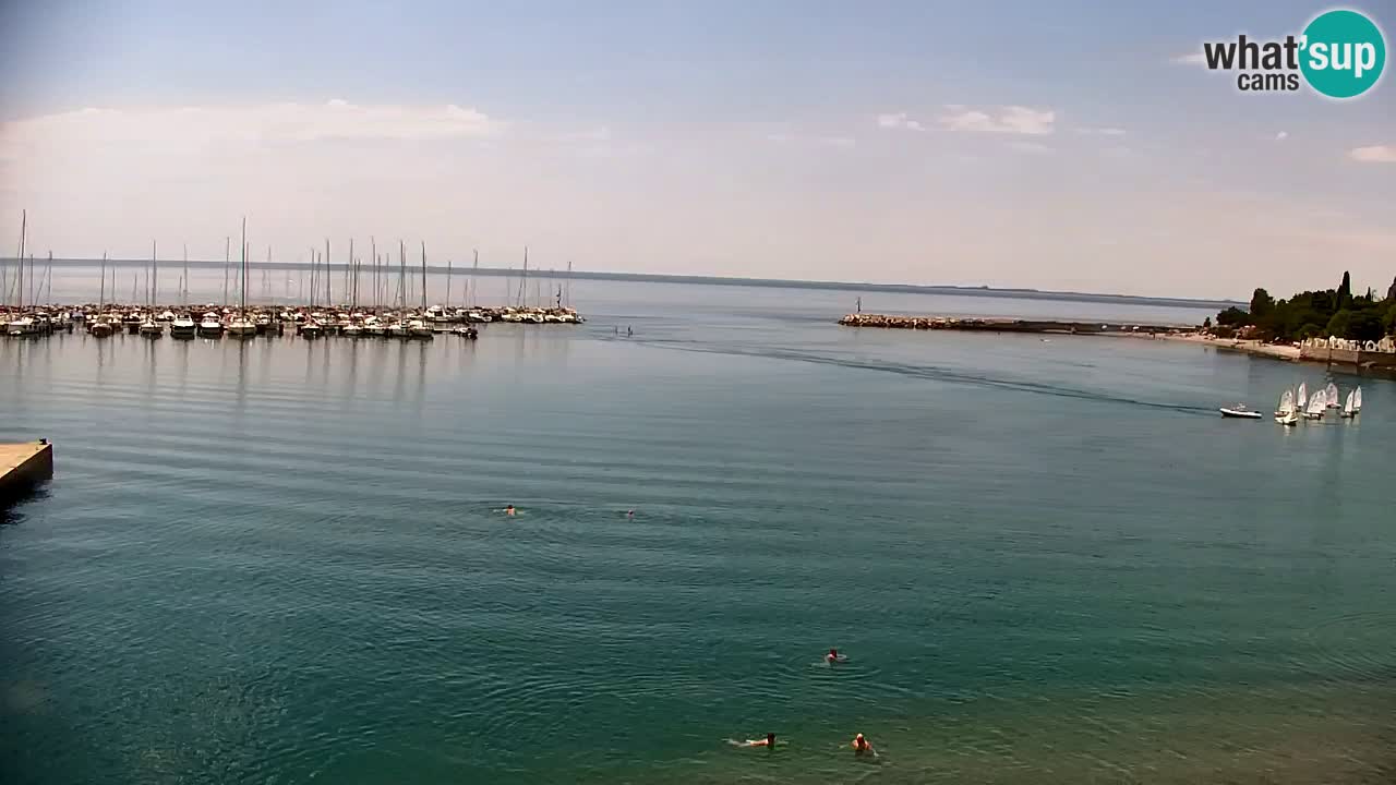 Webcam Sistiana Baia – Live View of the Marina and Gulf
