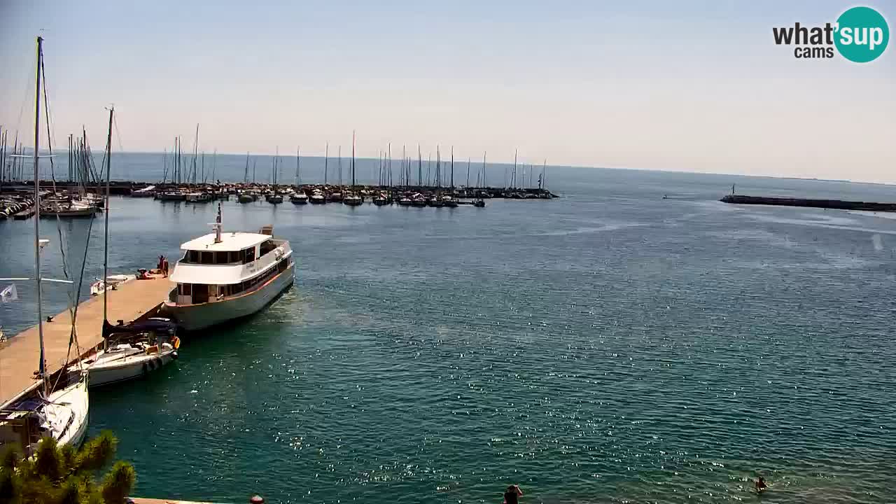 Webcam Sistiana Baia – Live View of the Marina and Gulf