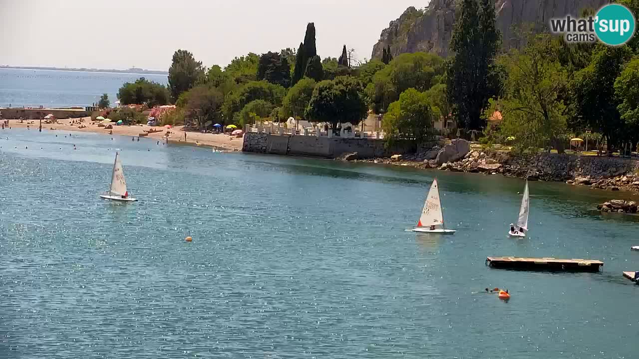 Webcam Bahía de Sistiana – Vista en directo del puerto deportivo y la costa