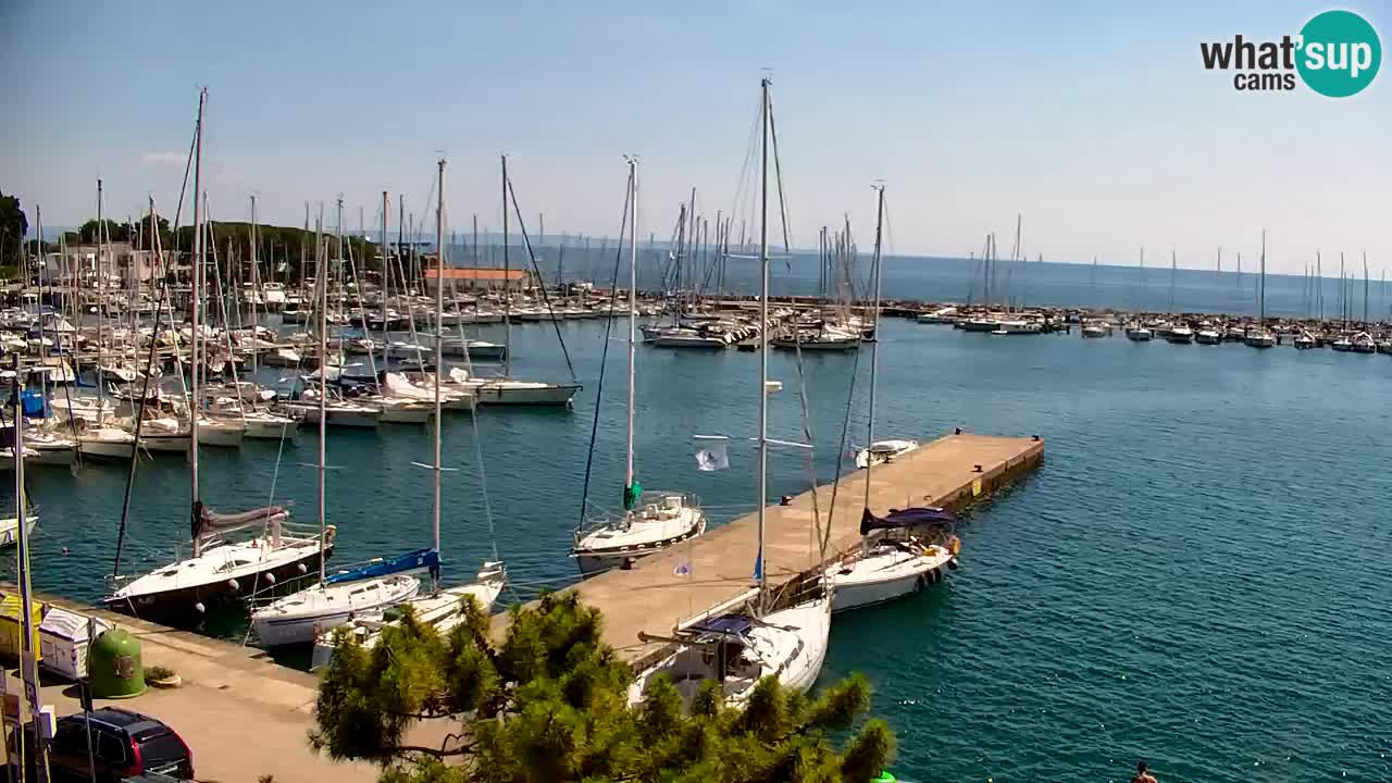 Webcam Sistiana Baia – Live View of the Marina and Gulf