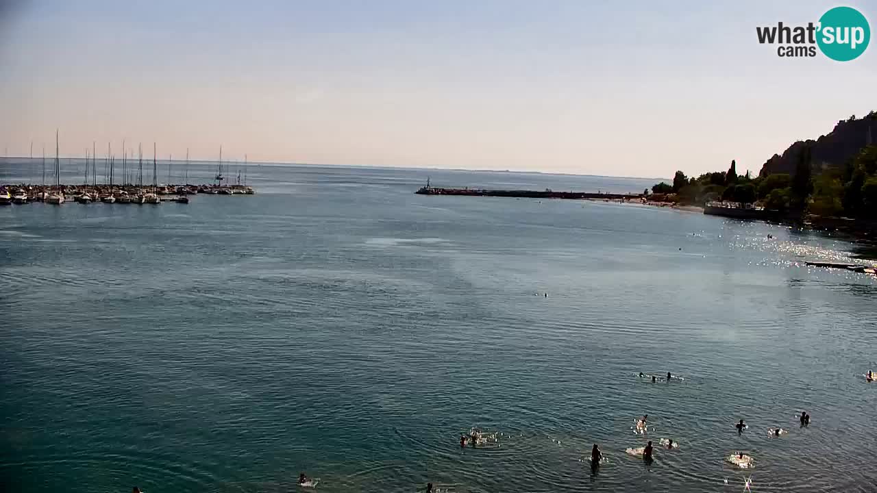 Webcam Sistiana Baia – Live View of the Marina and Gulf
