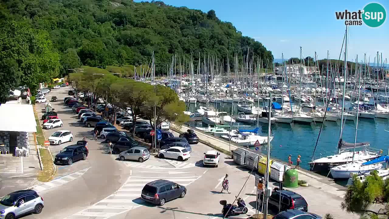 Webcam Sistiana Baia – Live View of the Marina and Gulf