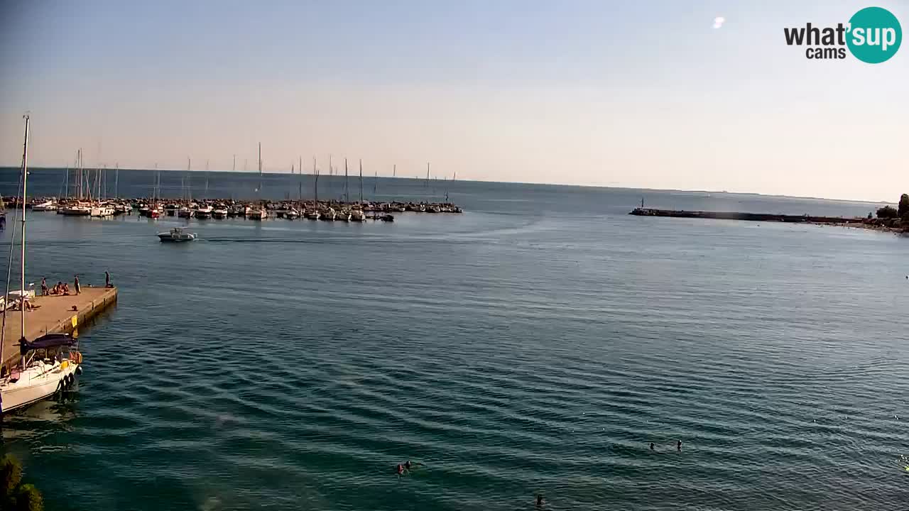 Webcam Sistiana Baia – Live View of the Marina and Gulf
