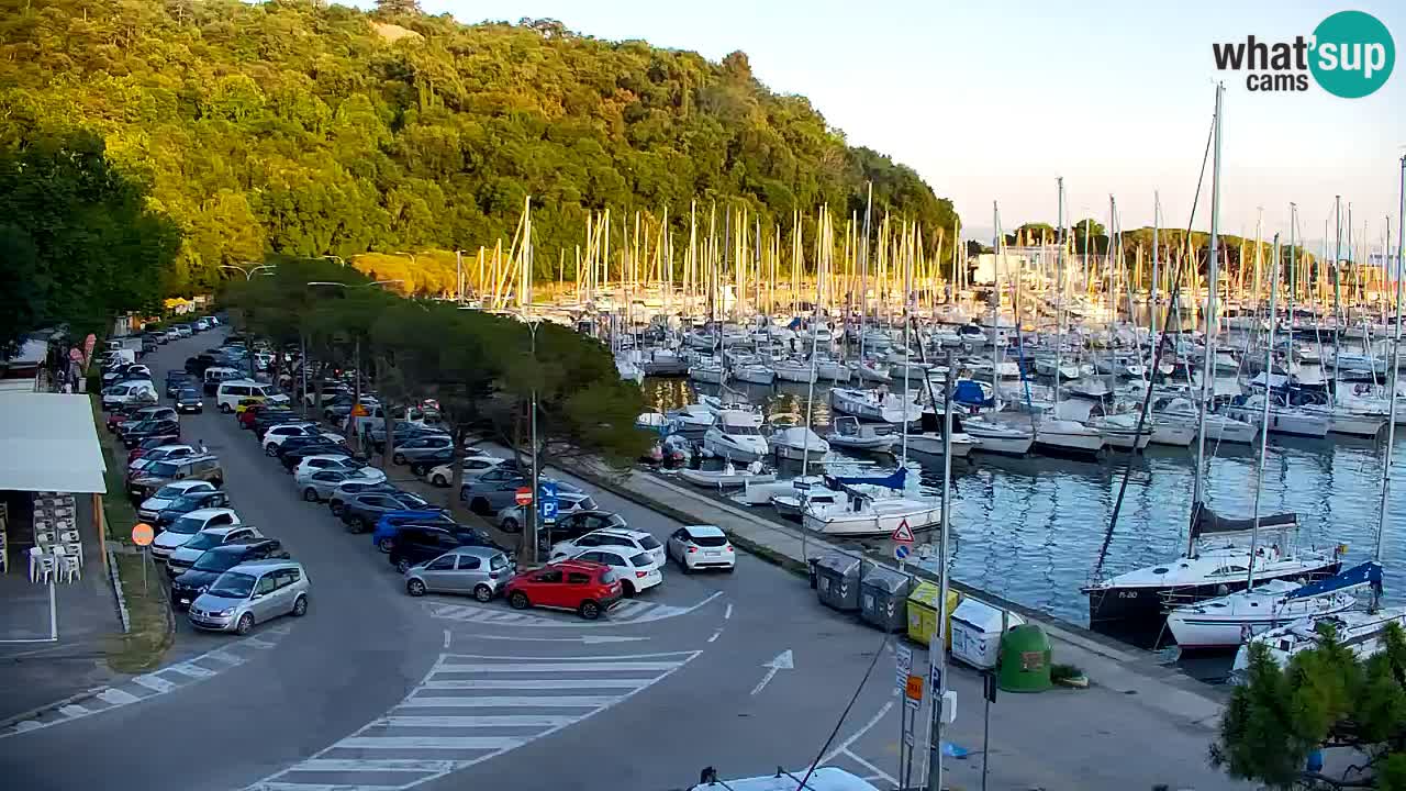 Webcam Sistiana Baia – Live View of the Marina and Gulf