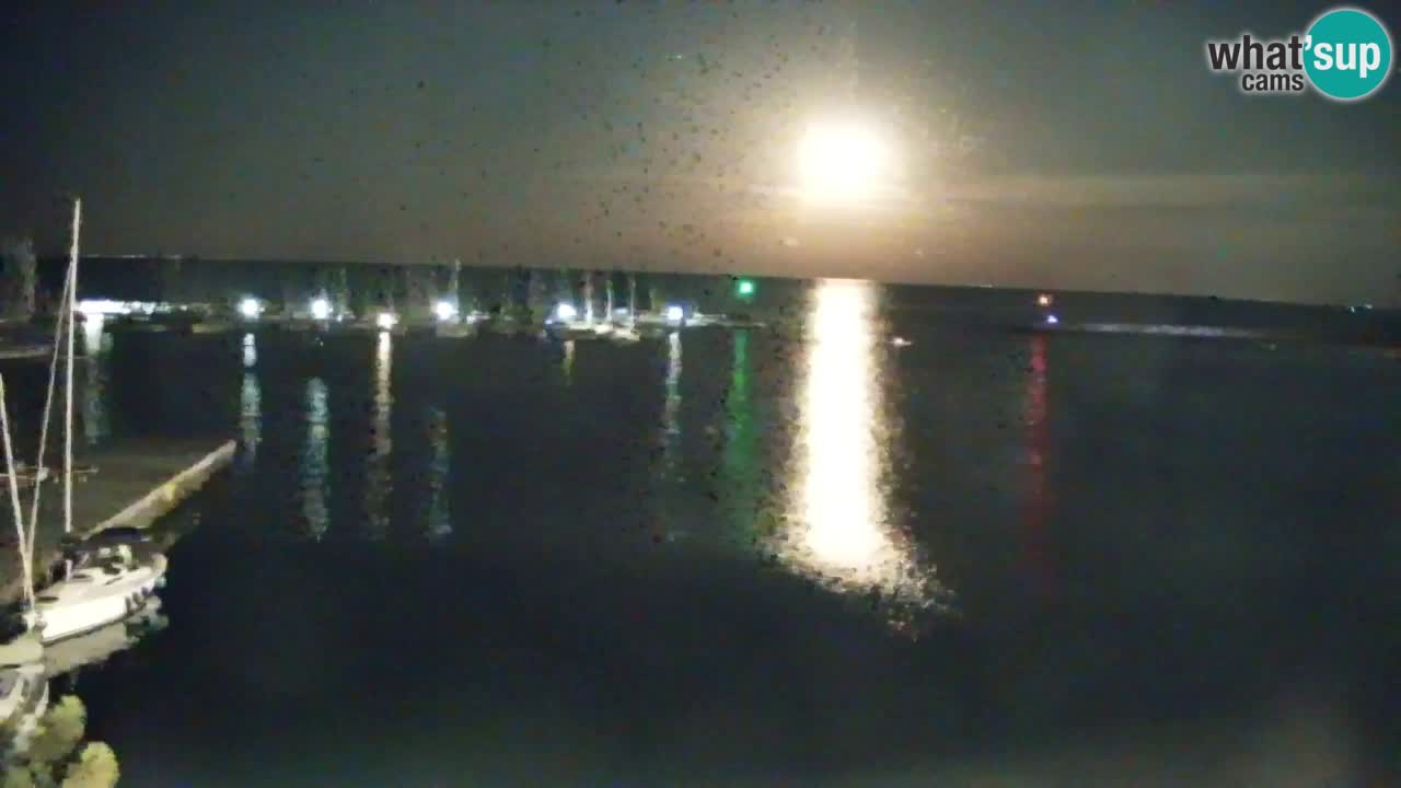 Webcam Sistiana Baia – Live View of the Marina and Gulf
