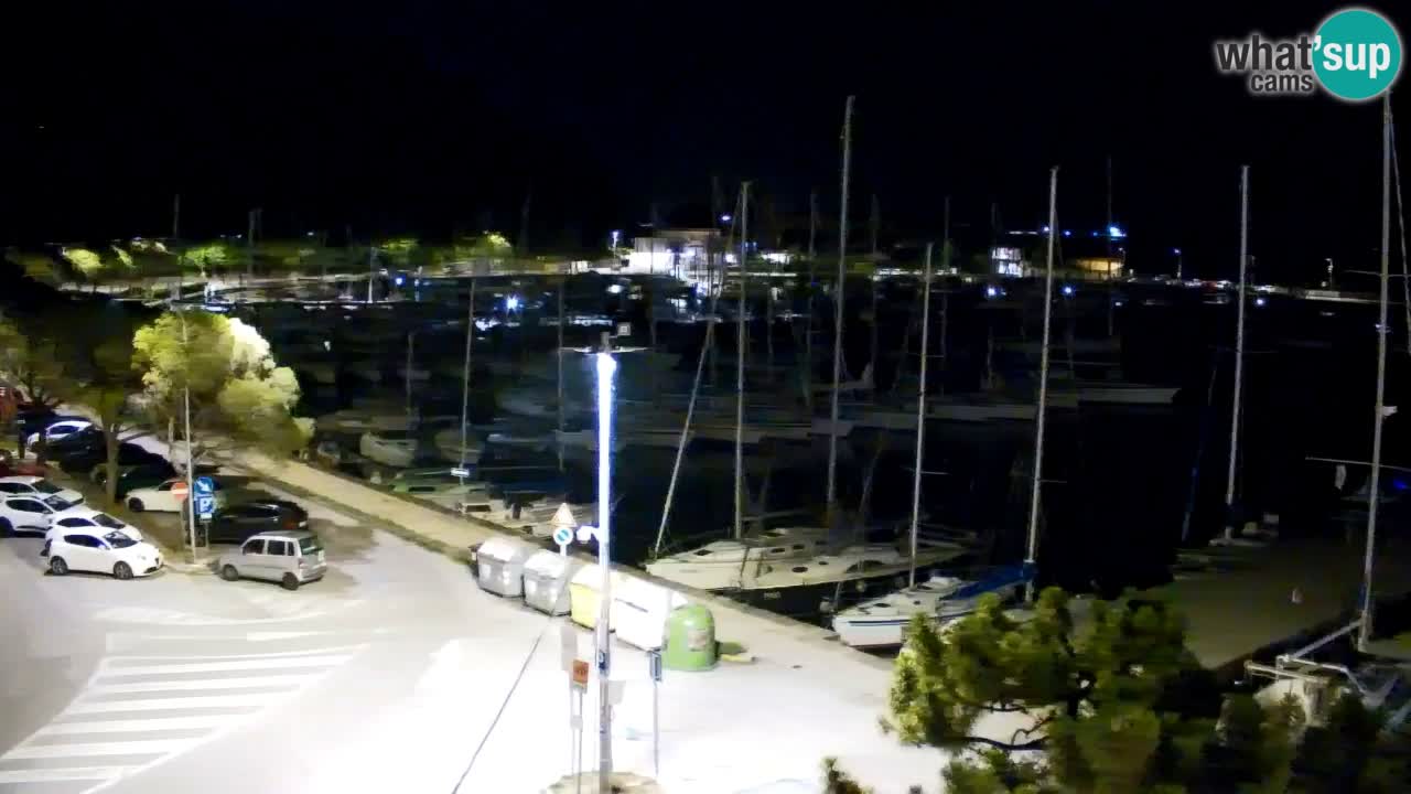 Webcam Bahía de Sistiana – Vista en directo del puerto deportivo y la costa
