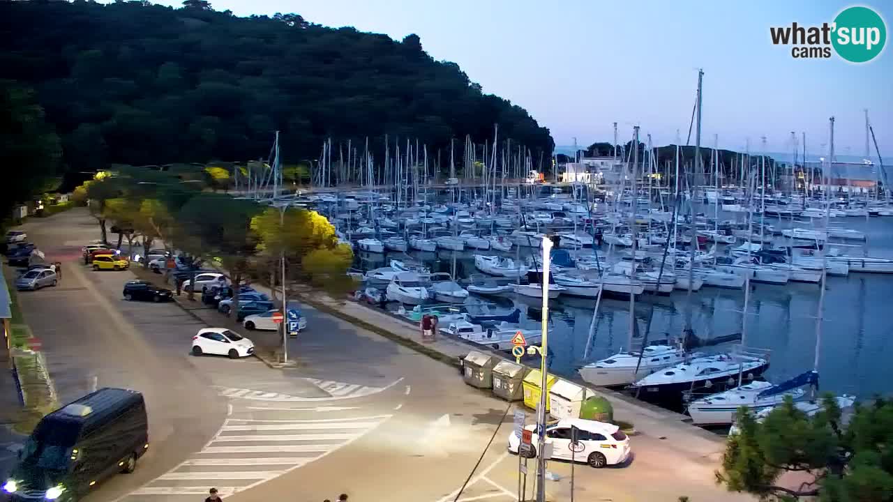 Webcam Sistiana Baia – Live View of the Marina and Gulf